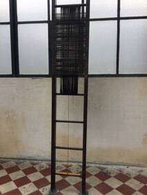 Carbon