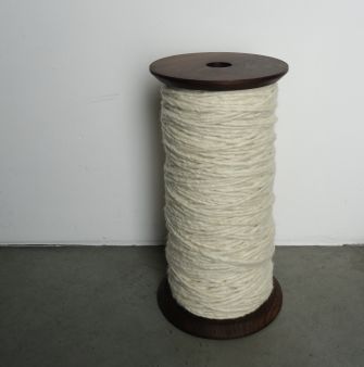 Coil